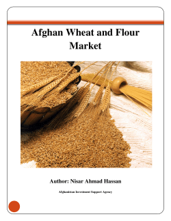 Afghan Wheat and Flour Market