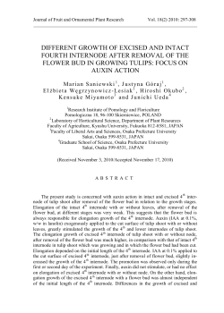 different growth of excised and intact fourth internode after removal