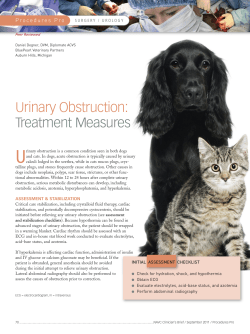 Urinary Obstruction: Treatment Measures