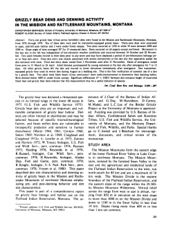 grizzly bear dens and denning activity