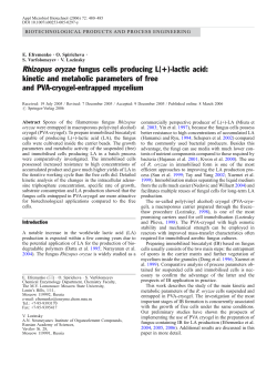 Rhizopus oryzae fungus cells producing L(+)