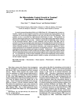 Do Microtubules Control Growth in Tropism? Experiments with