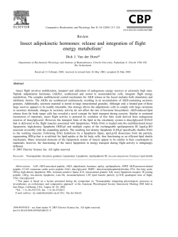 Insect adipokinetic hormones: release and integration of flight