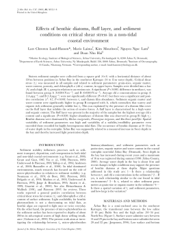 E&iexcl;ects of benthic diatoms, &pound;u&iexcl; layer, and sediment