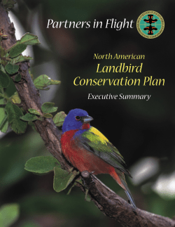 North American Landbird Conservation Plan - Eco