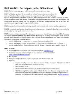 BAT WATCH: Participate in the BC Bat Count