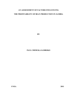 AN ASSSESSMENT OF FACTORS INFLUENCING THE