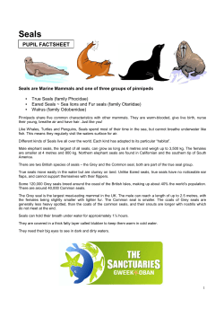 pupil factsheet - Seal Sanctuary