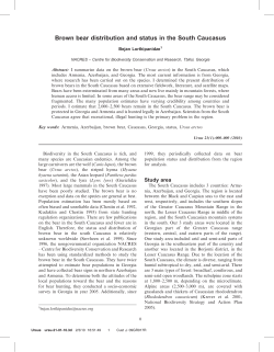 Brown bear distribution and status in the South Caucasus