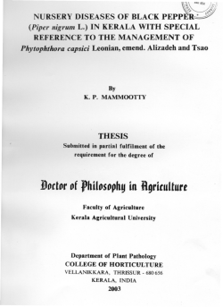 Nursery diseases of Black Pepper