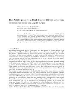 The ArDM project: a Dark Matter Direct Detection Experiment based