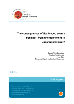 The consequences of flexible job search behavior