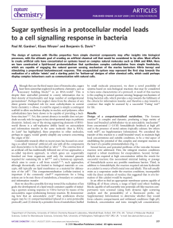 Sugar synthesis in a protocellular model leads to a cell signalling