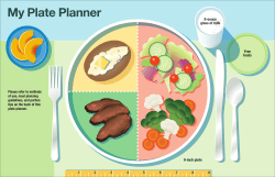 My Plate Planner - Health Care Professionals Portal