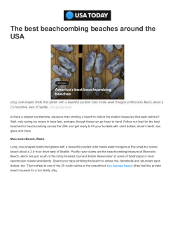 The Best Beachcombing Beaches around the USA | USA Today