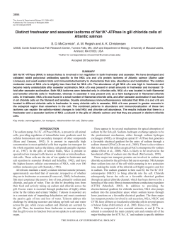 Distinct freshwater and seawater isoforms of Na+/K+