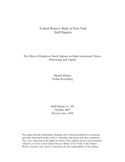 The Effect of Employee Stock Options on Bank Investment Choice