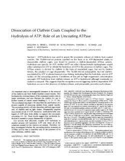 Dissociation of Clathrin Coats Coupled to the Hydrolysis of ATP