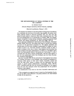 (From the Biological Laboratories, Harvard University, Cambridge)