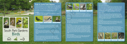 Birds - South Park Gardens