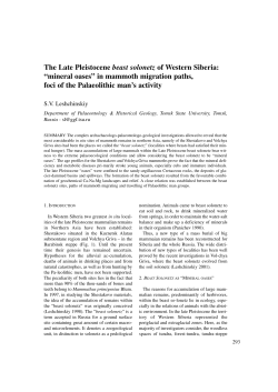 The Late Pleistocene beast solonetz of Western Siberia: &ldquo;mineral