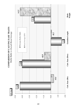 Lots 27-44 - Wirruna Poll Herefords