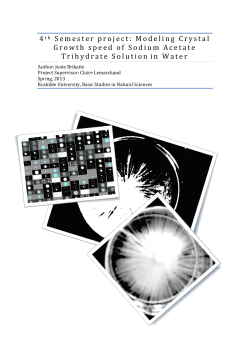 4t h Semester project: Modeling Crystal Growth speed of Sodium