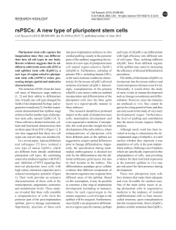 rsPSCs: A new type of pluripotent stem cells