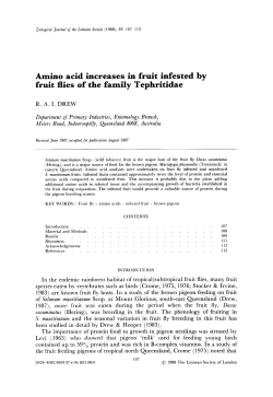 Amino acid increases in fruit infested by fruit flies of the family