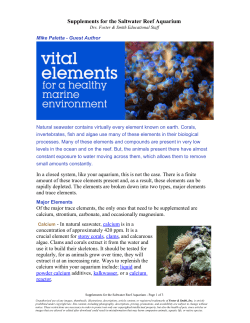 Supplements for the Saltwater Reef Aquarium