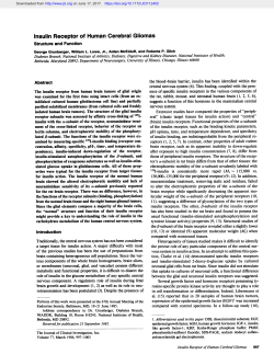 Insulin Receptor of Human Cerebral Gliomas