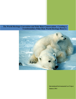 The World Heritage Convention and Polar Bear Conservation