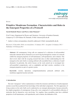 Primitive Membrane Formation, Characteristics and Roles in the
