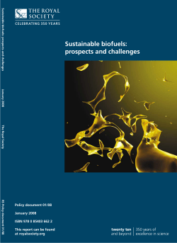 Sustainable biofuels: prospects and challenges