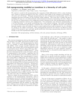 Cell reprogramming modelled as transitions in a hierarchy