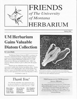 Spring 2000 - College of Humanities and Sciences