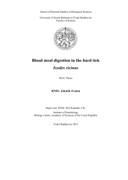 Blood meal digestion in the hard tick Ixodes ricinus