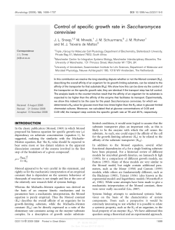 Control of specific growth rate in Saccharomyces