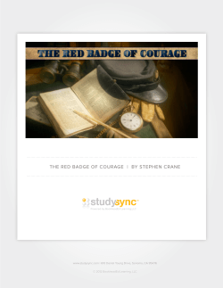The reD BADge of CourAge | BY STephen CrAne