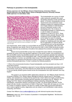 Pathways to parasitism in the kinetoplastids