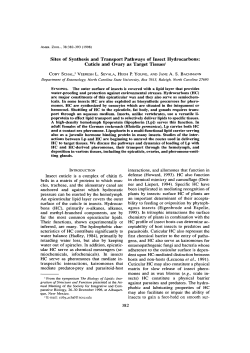 Sites of Synthesis and Transport Pathways of