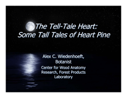 The Tell-Tale Heart: Some Tall Tales of Heart Pine