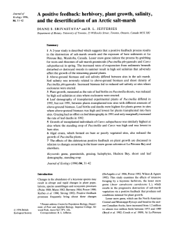 A Positive Feedback: Herbivory, Plant Growth, Salinity, and the