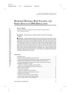 hydrogen bonding, base stacking, and steric effects in dna
