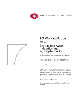 Endogenous wage indexation and aggregate shocks