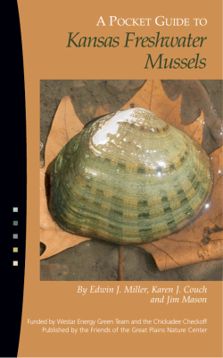 Kansas Freshwater Mussels - Great Plains Nature Center
