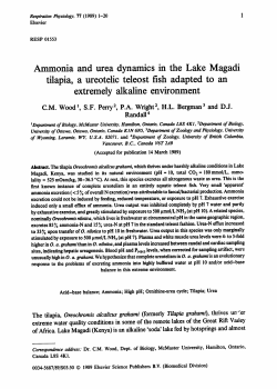 Ammonia and urea dynamics in the Lake Magadi