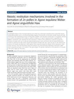 Meiotic restitution mechanisms involved in the formation of2npollen