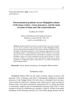 Electrochemical gradients across Malpighian tubules of the house