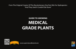 medical grade plants